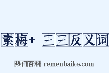 素梅+三三反义词是什么意思的图片